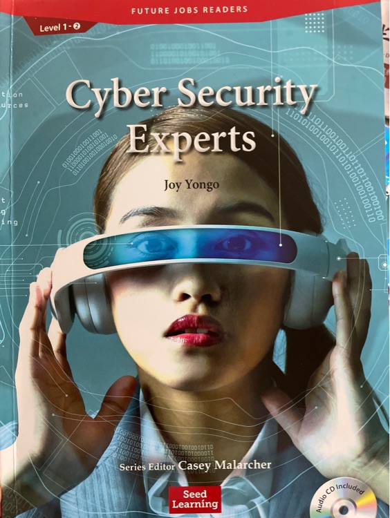 cyber security experts