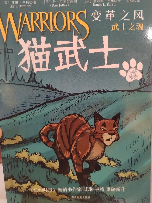 貓武士