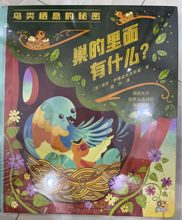 巢的里面有什么