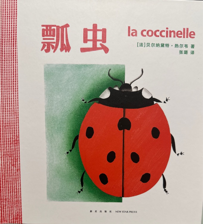 小小生態(tài)圈: 瓢蟲