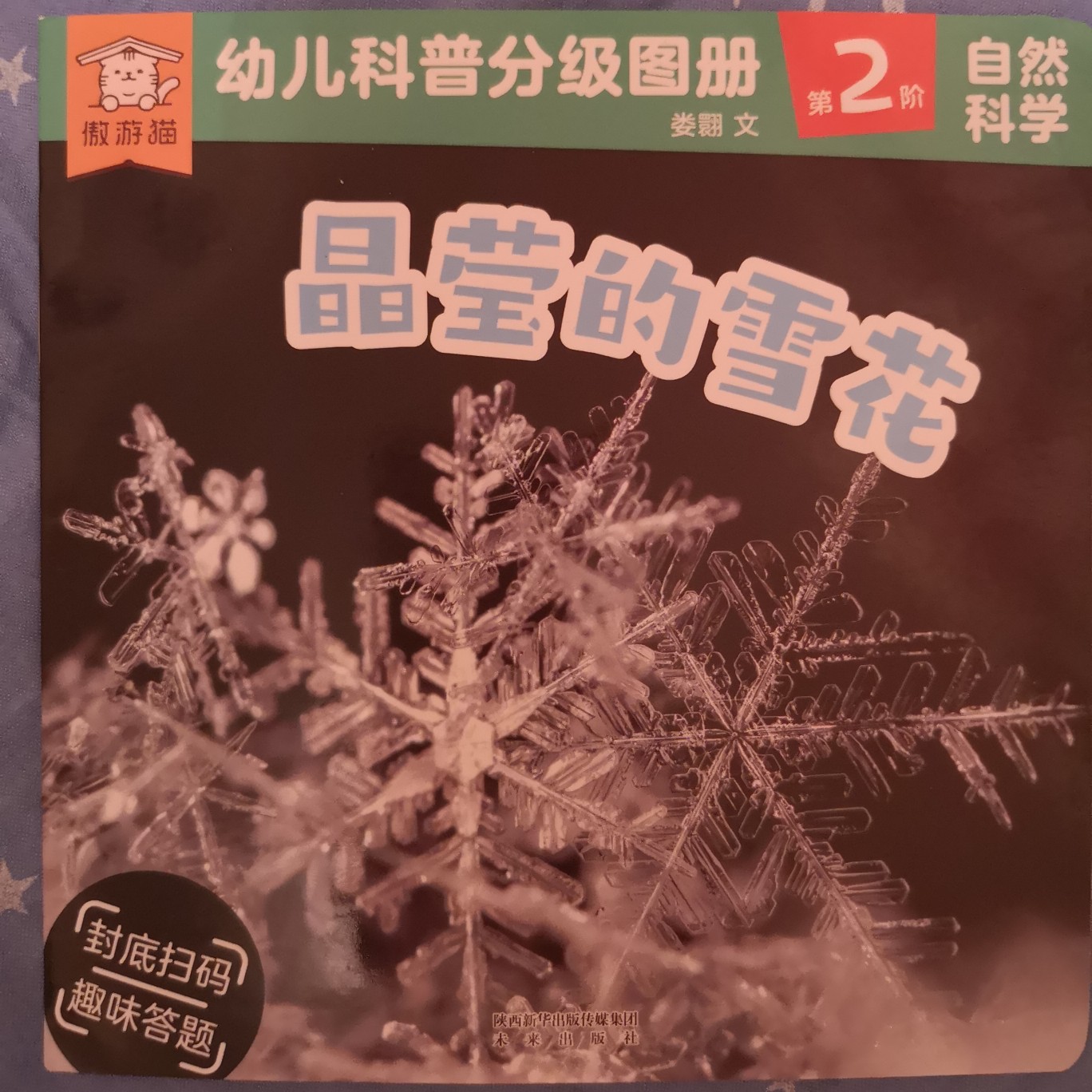 晶瑩的雪花