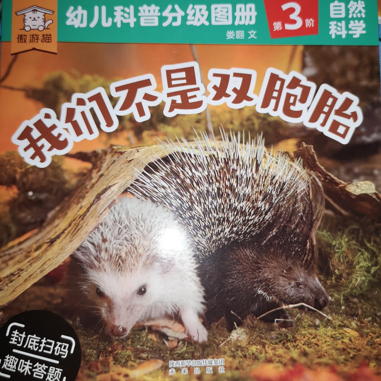 我們不是雙包胎