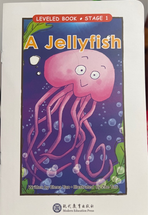 a jellyfish