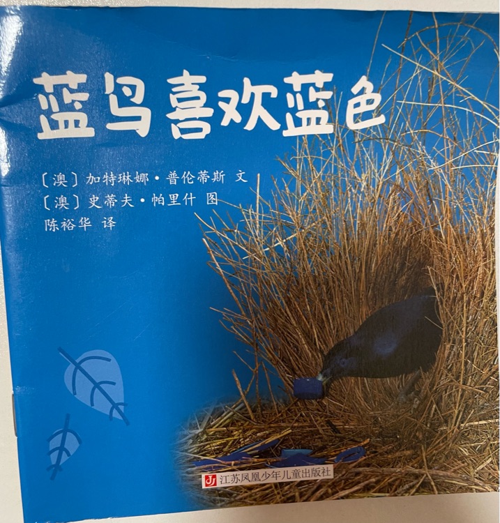 藍鳥喜歡藍色