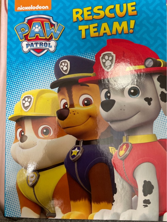 Rescue team