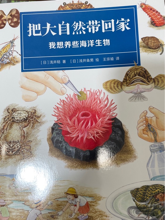 我想養(yǎng)些海洋生物