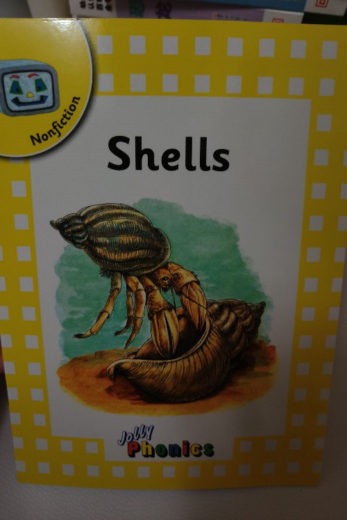 shells