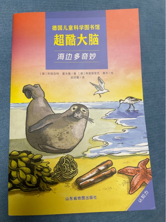 超酷大腦海邊多奇妙