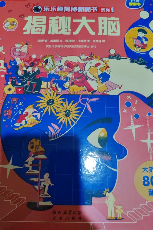 揭秘大腦