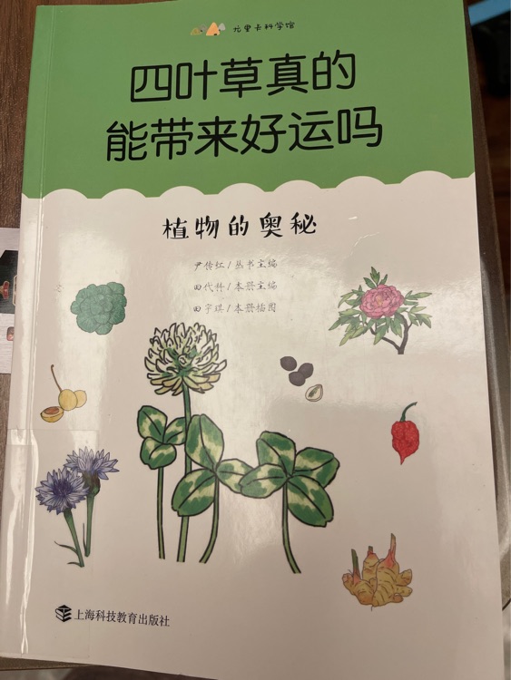 四葉草真的能帶來好運嗎