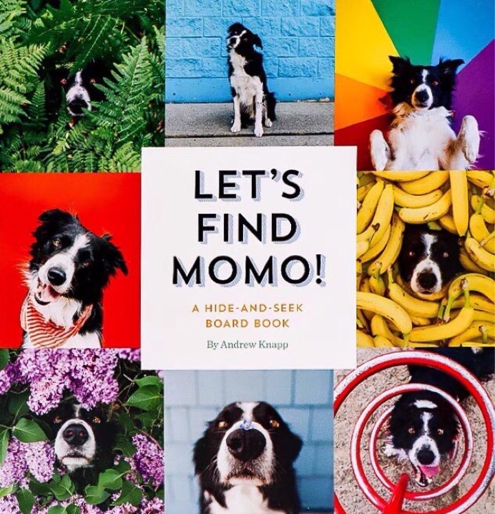 Let's Find Momo!  A Hide-and-Seek Board Book