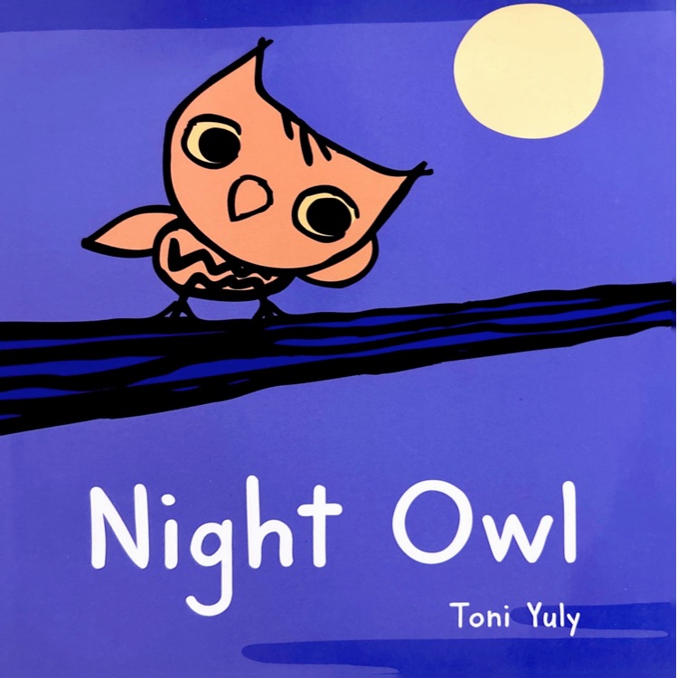 Night Owl: A Picture Book