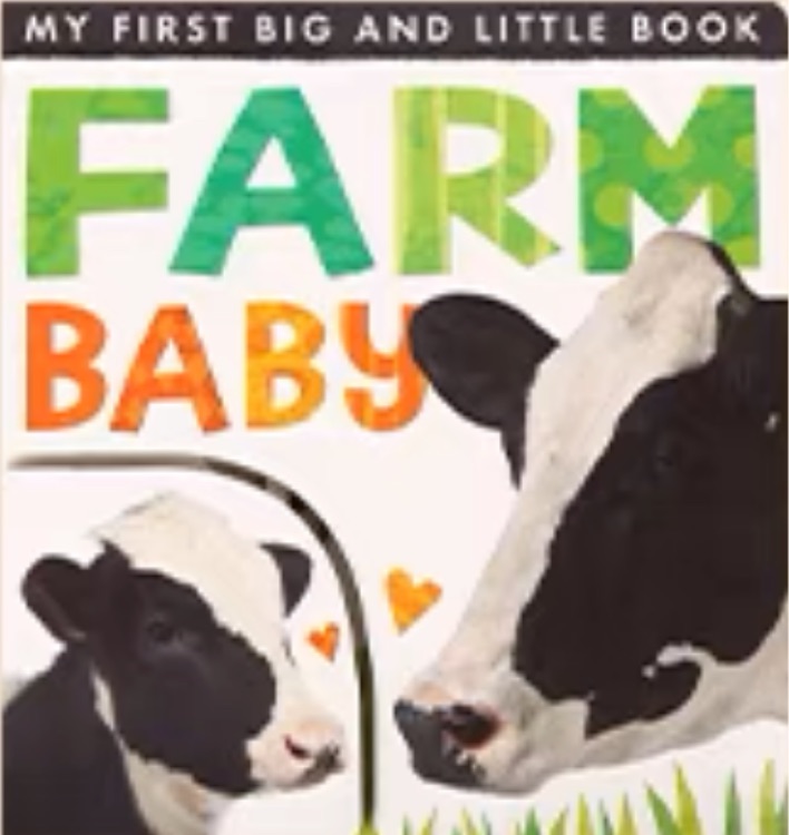 My First Big And Little book   Farm Baby