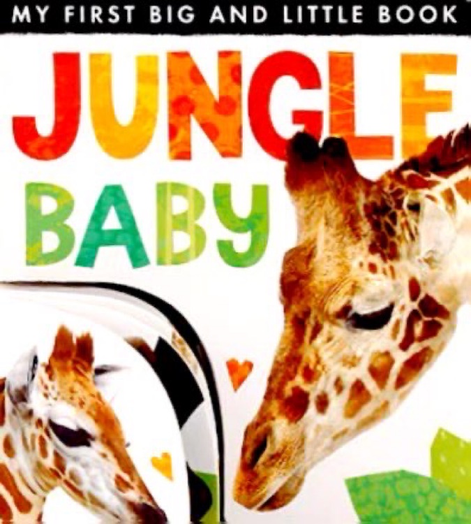 My First Big And Little Book   Jungle Baby