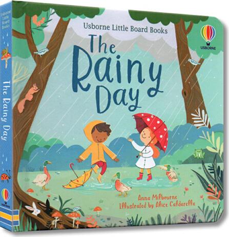 The Rainy DayBook