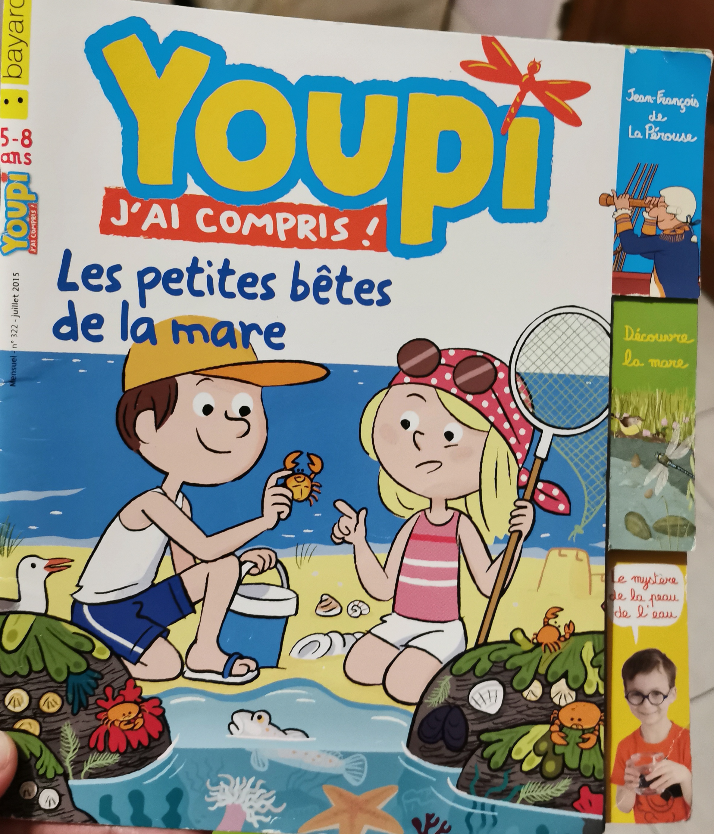 youpi:les petites bêtes de la mare