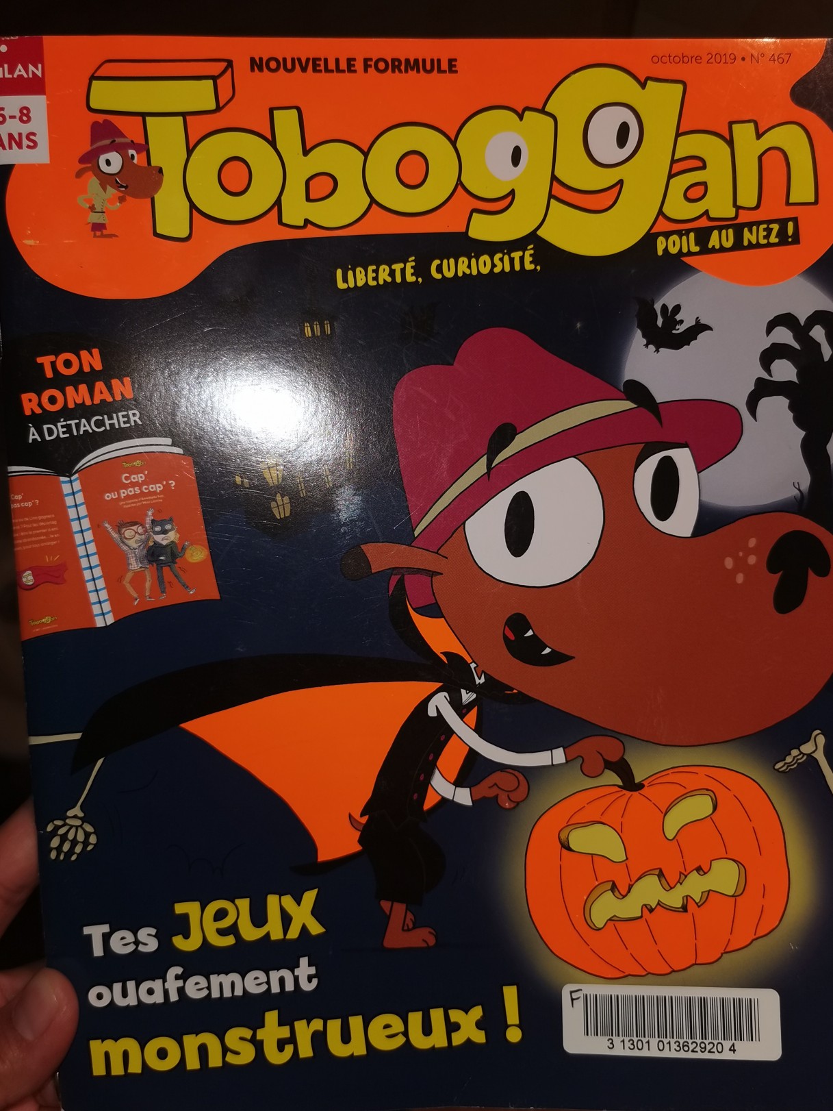 toboggan:les jeux Ouafement monstrueux