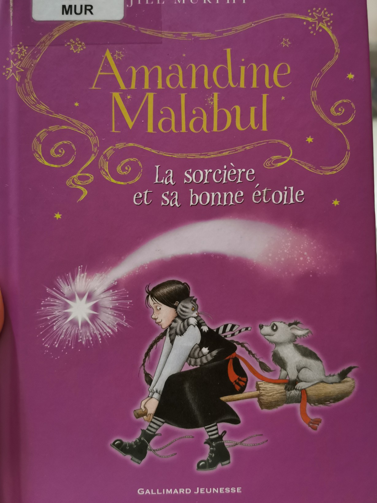 Amandine Malabul,la sorciere et sa bonne étoile