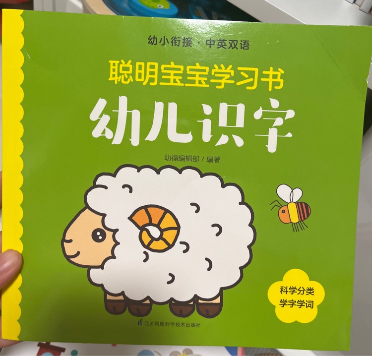 聰明寶寶學習書 幼兒識字