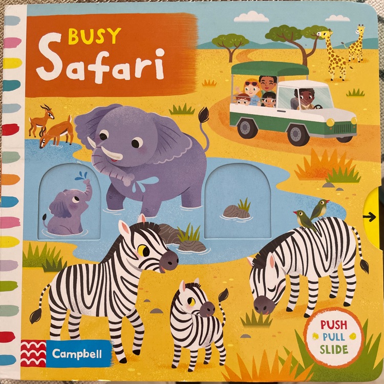 busy safari