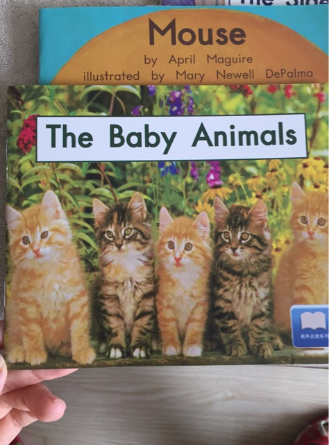 thebaby animals