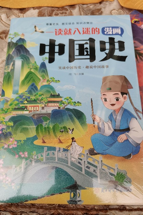 一读就入迷的漫画中国史