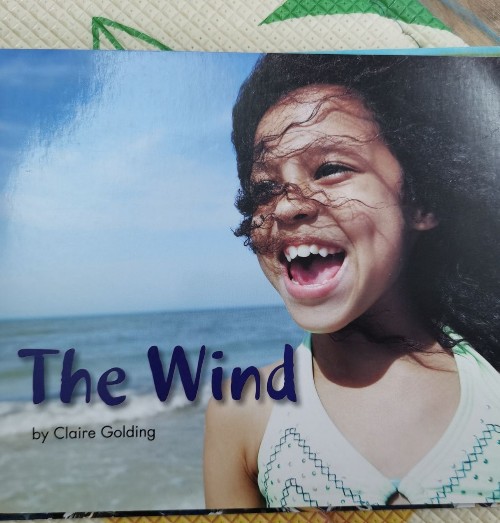 the wind