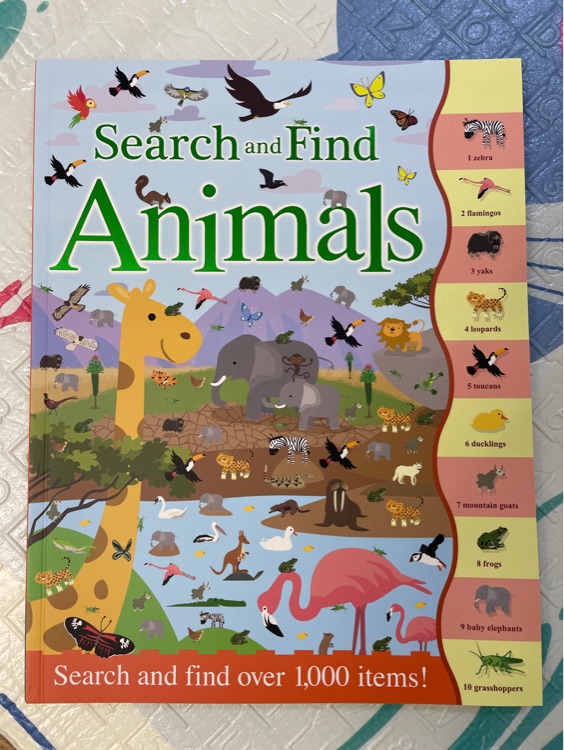 Search and Find Animals