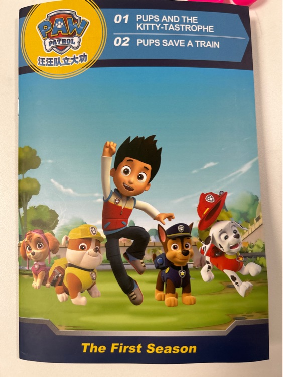 paw patrol