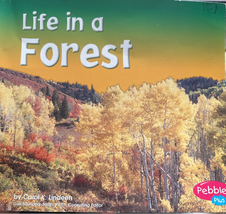 Life in a forest: Carol K. lindeen