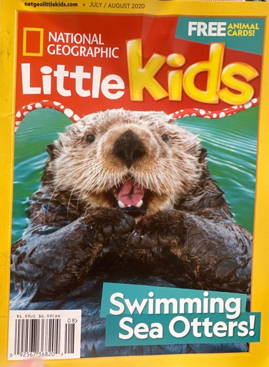 National geographic Little kids: swimming sea otters