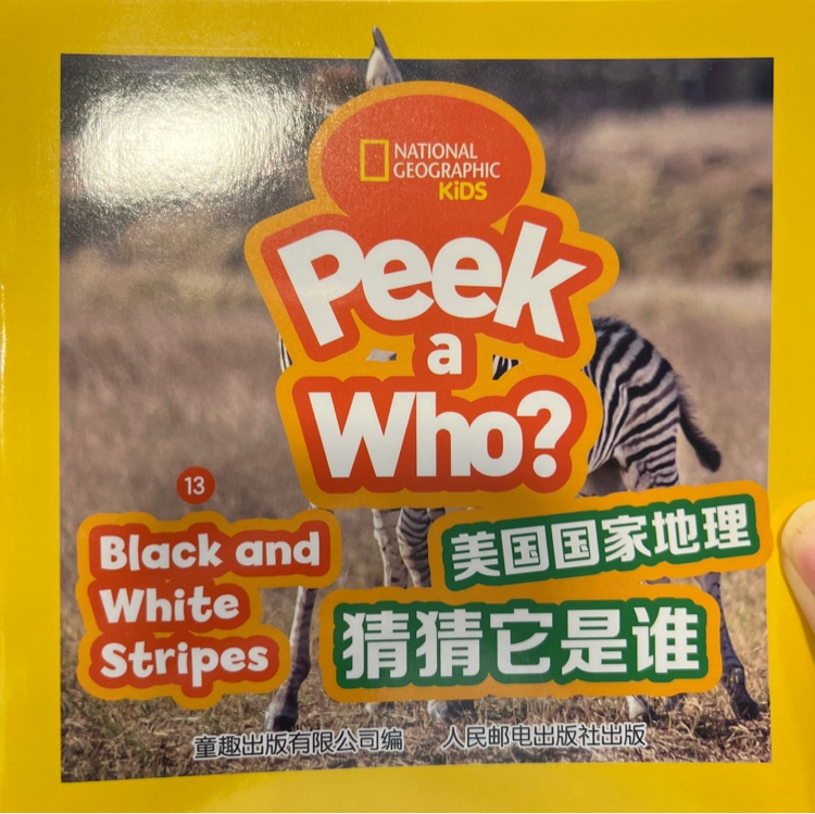 peek a who? 13-Black and White Stripes