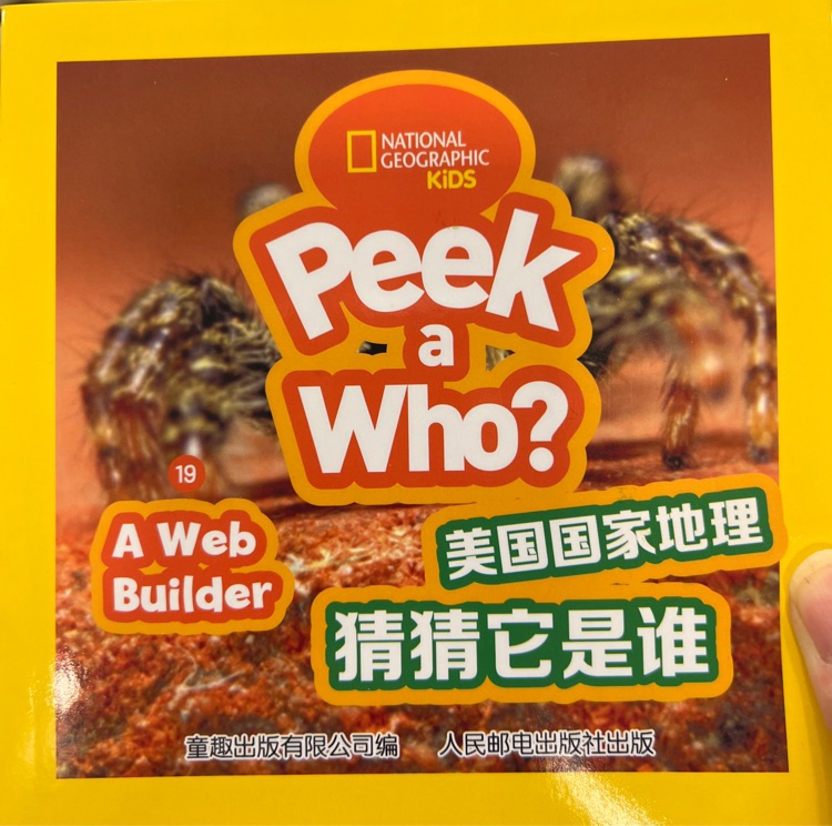 peek a who? 19-A Web Builder