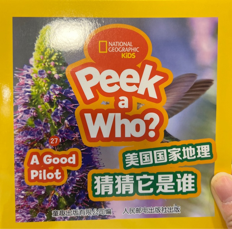 peek a who? 27-a good pilot