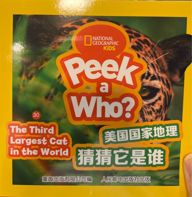 peek a who? 30-the third largest cat in the world