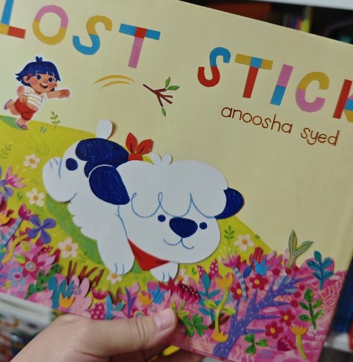 lost stick