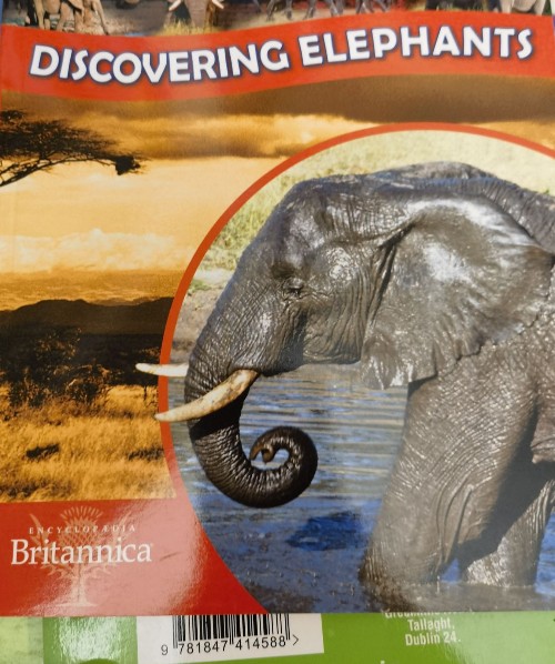 Discovering Elephants