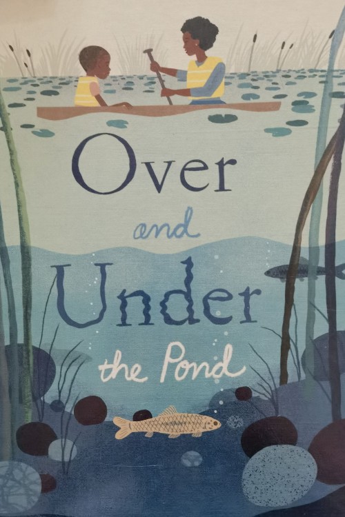 over and under the pond