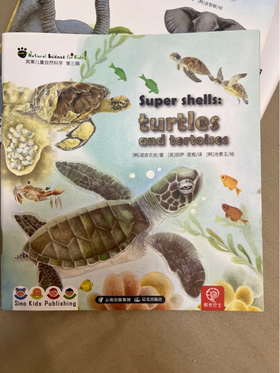 Super shells turtles and tortoises