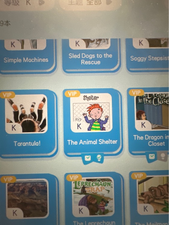 the animal shelter raz k