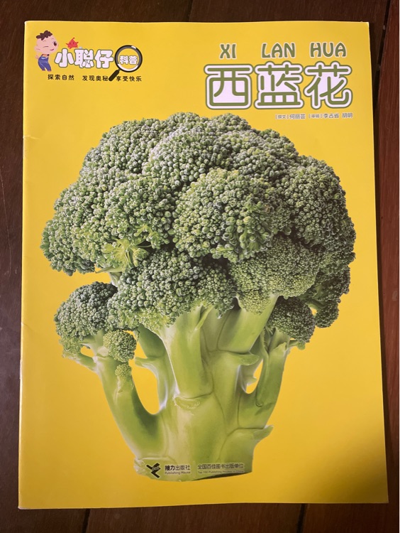小聪仔科普版 .西蓝花2020.2