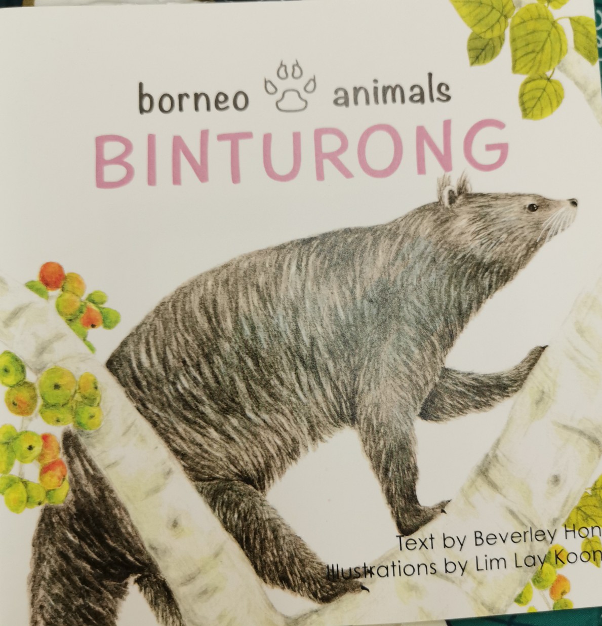 Borneo Animals Binturong