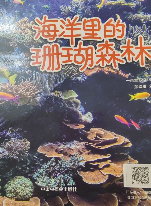 海洋里的珊瑚森林