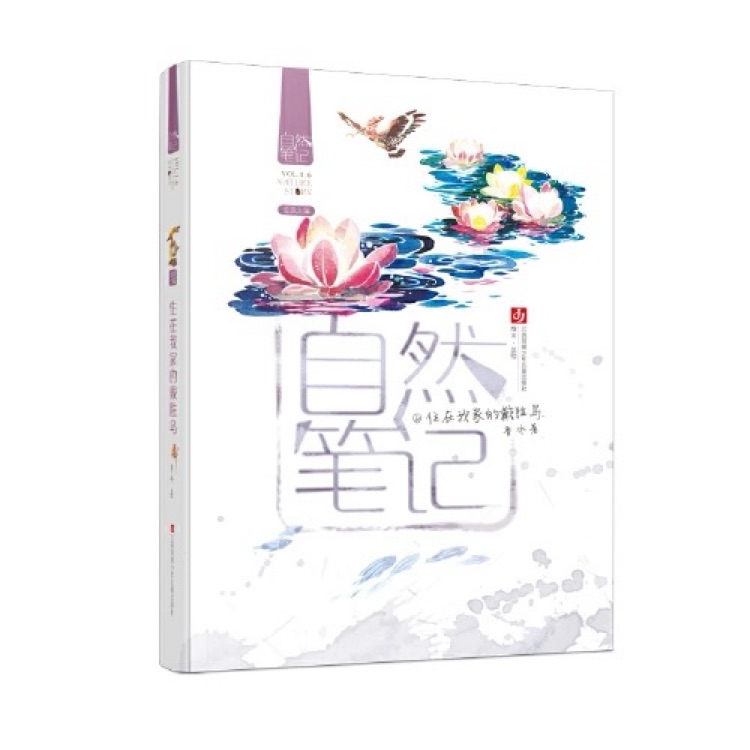 自然筆記6: 住在我家的戴勝鳥