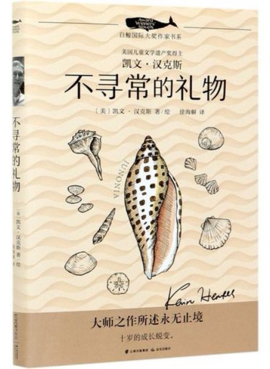 白鲸国际大奖作家书系第四辑: 不寻常的礼物