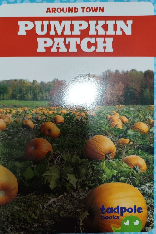 pumpkin patch
