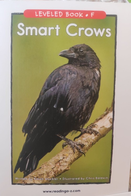 Smart Crows