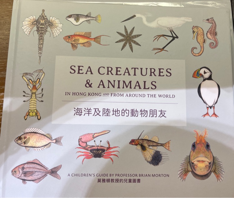 Sea creatures & animals in Hong Kong and from around the world