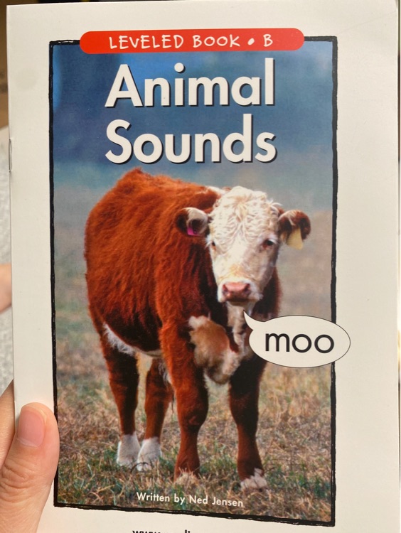 Animal Sounds