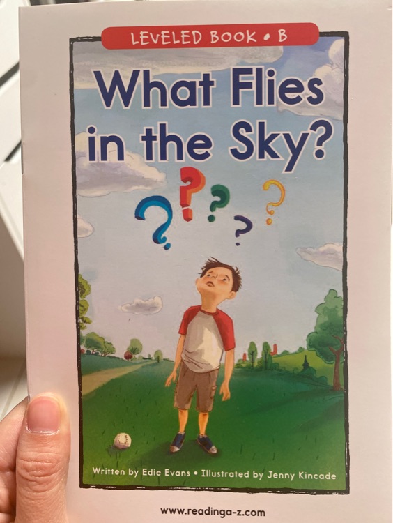 What flies in the sky